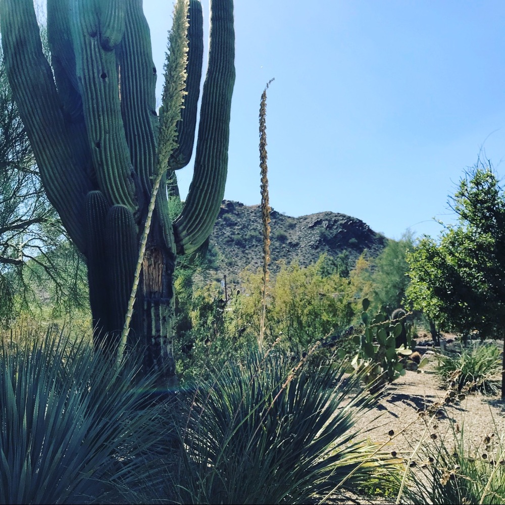 Meet your Posher, Kristin